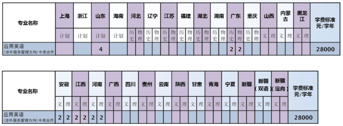 上海思博职业技术学院中外合作办学招生计划-各专业招生人数是多少