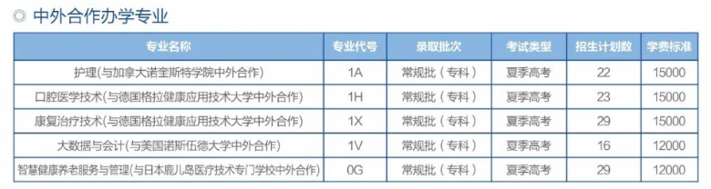 2022滨州职业学院中外合作办学学费多少钱一年-各专业收费标准