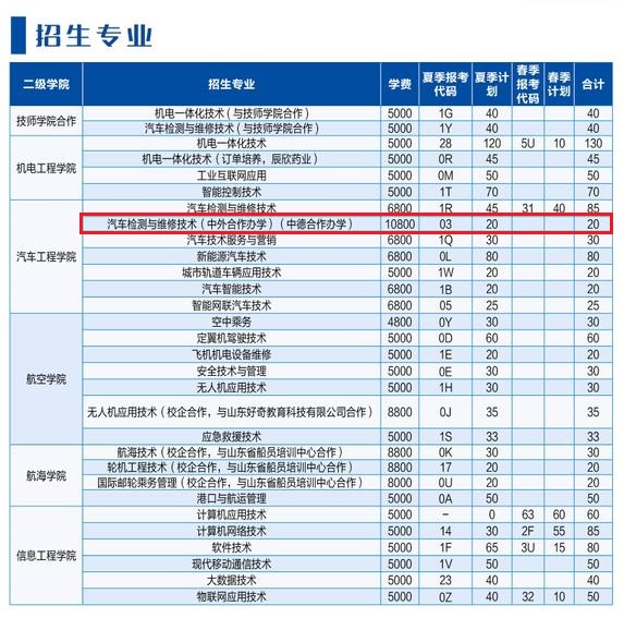 山东理工职业学院中外合作办学专业有哪些？