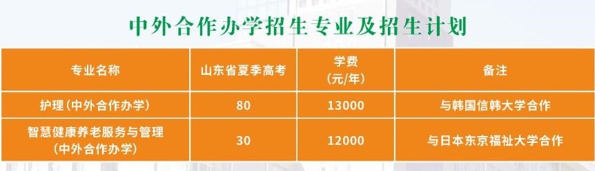 2022潍坊护理职业学院中外合作办学学费多少钱一年-各专业收费标准