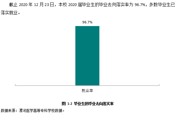 漯河医学高等专科学校就业率及就业前景怎么样（含2021届就业质量报告）