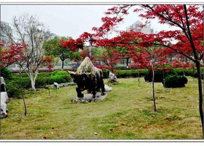 四川省珙县职业高级中学春天景色